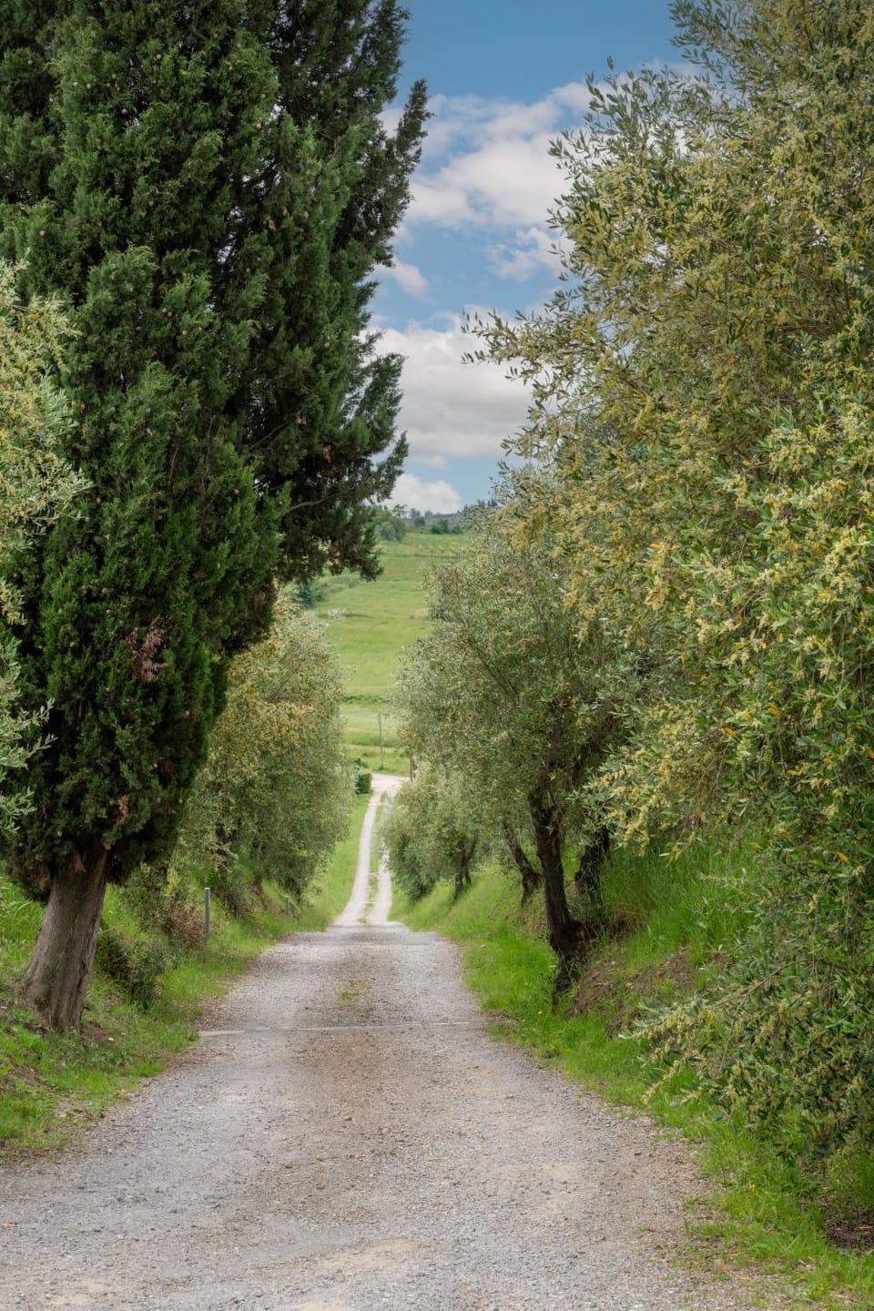 Neighbourhood, Natural landscape