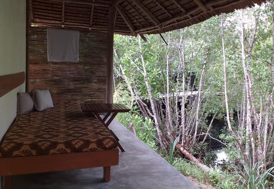 Balcony/Terrace, River view