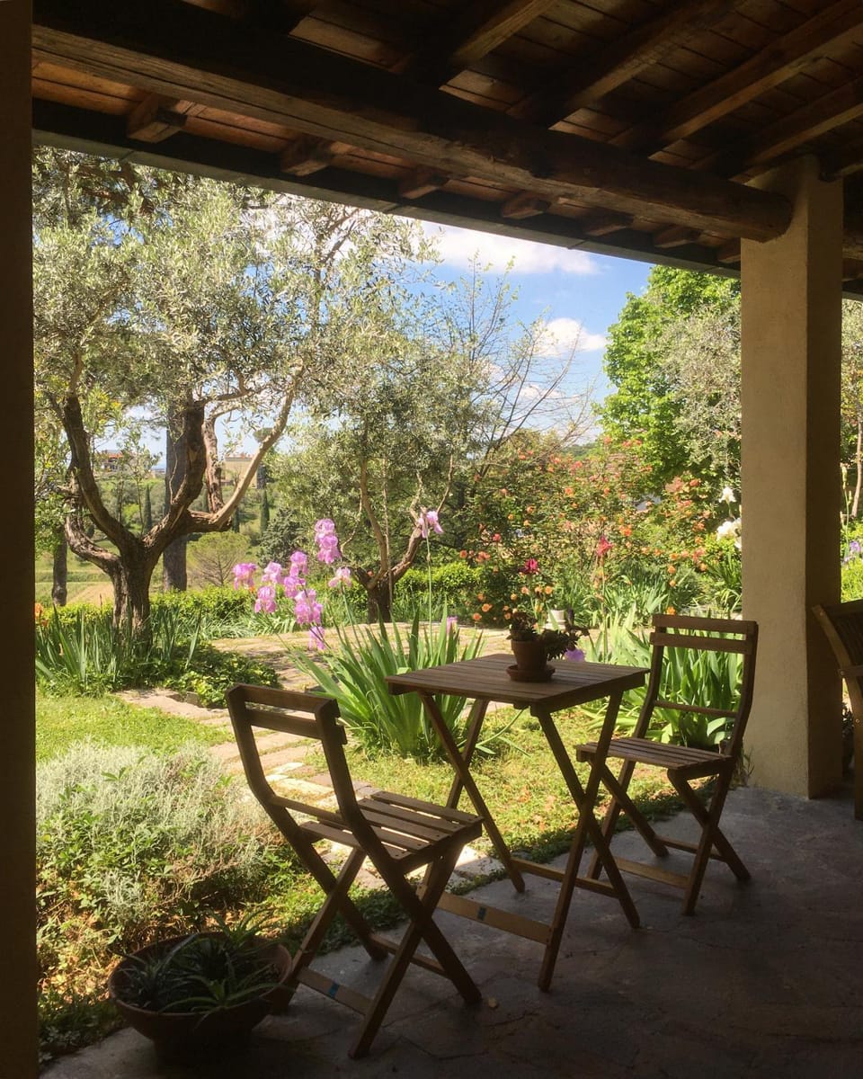 Patio, Spring, Day, Garden, Garden view