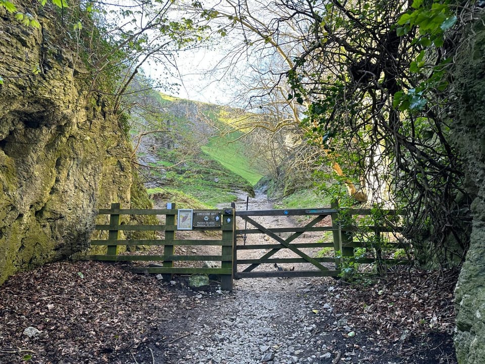 Natural landscape
