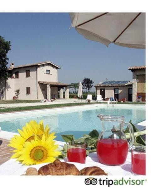 Garden, Pool view