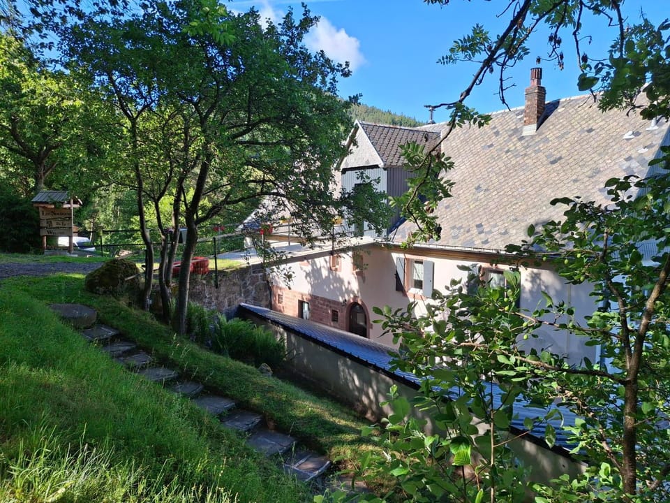 NORDIQUES DE LA WELCHE House in Orbey