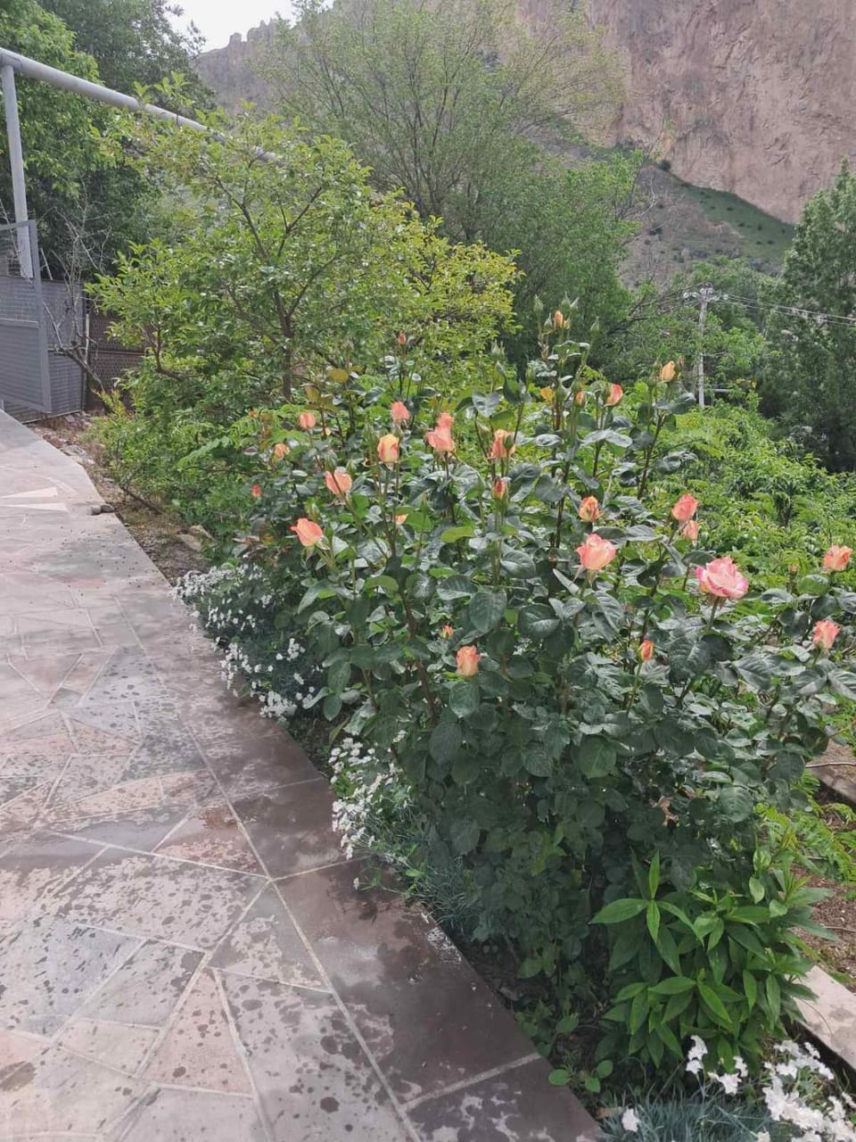 Anna Home B&B Bed and Breakfast in Armenia