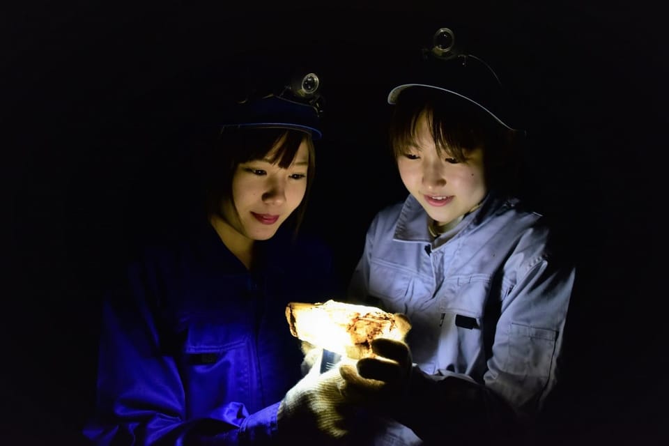 TRIP BASE COCONEEL Bed and Breakfast in Japan
