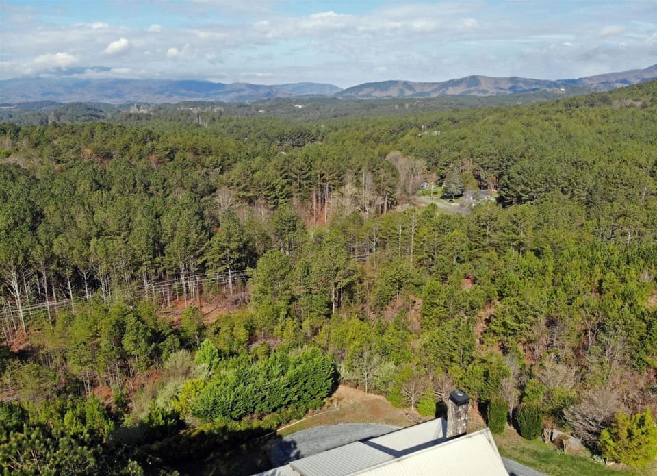 Brew with a View-3br/3ba sleeps 8, hot tub, gamero House in Ducktown