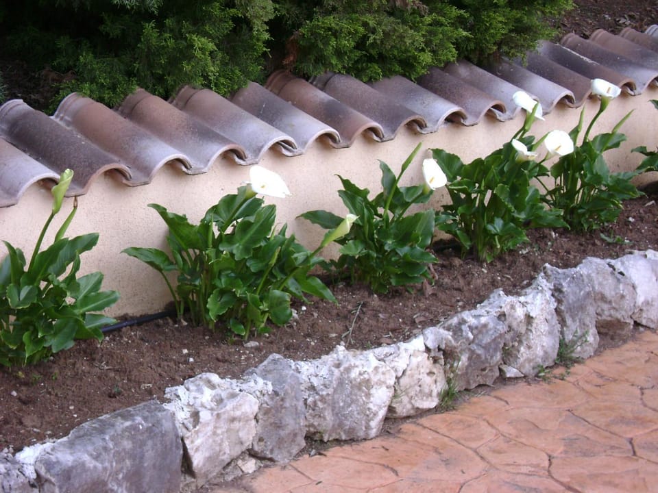 Villa Benice Bed and Breakfast in Abruzzo