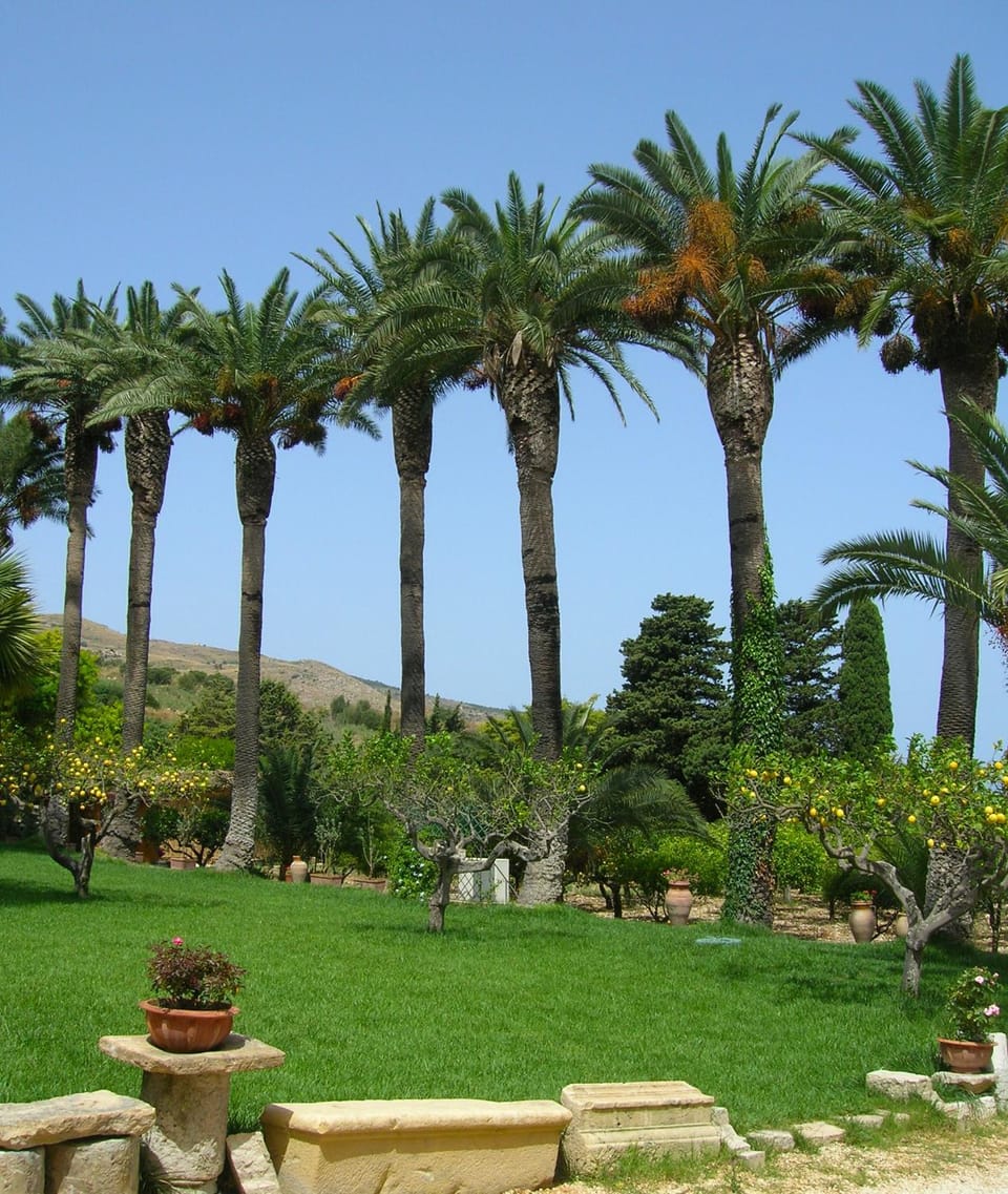 Garden, Garden view