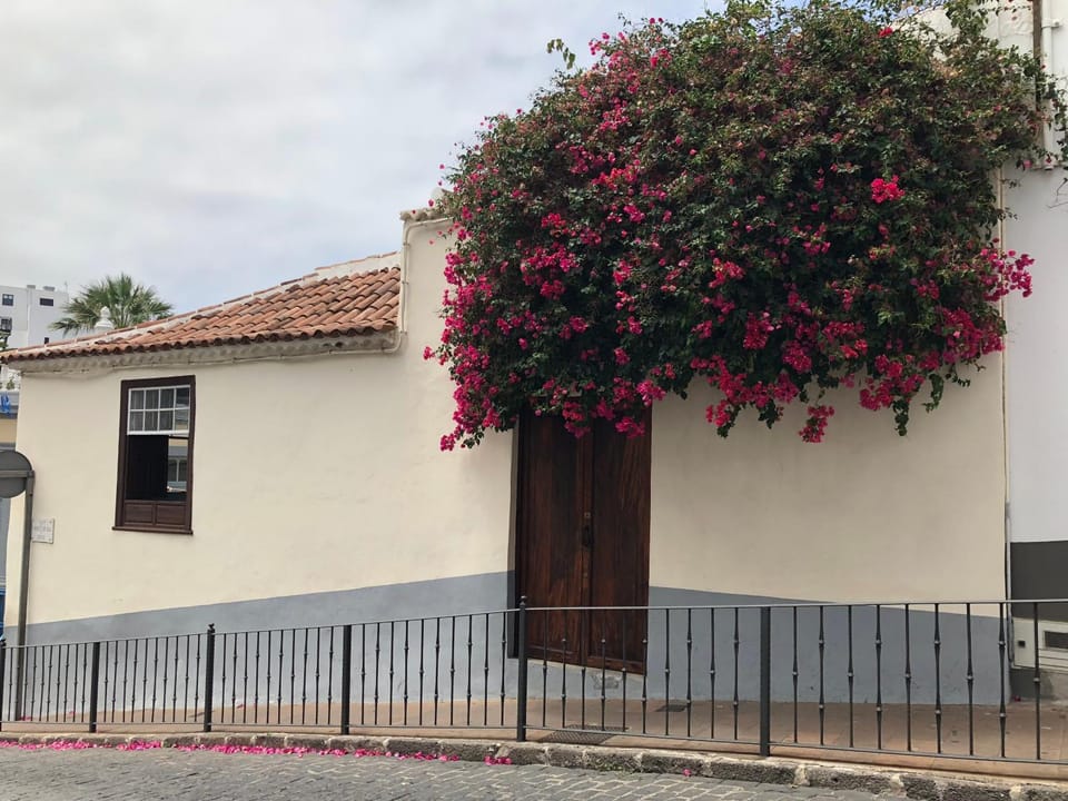Apartamento Germán Apartment in Canary Islands
