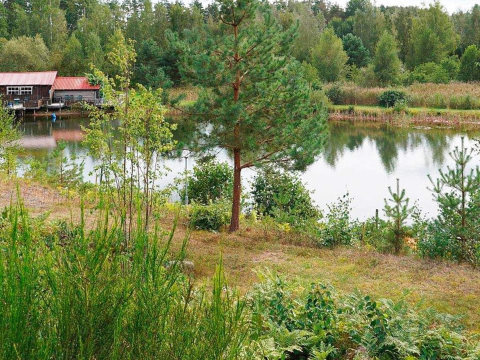 Lake view