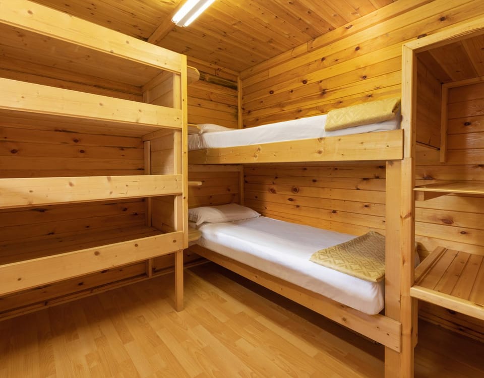 Bed, Photo of the whole room, Bedroom, bunk bed