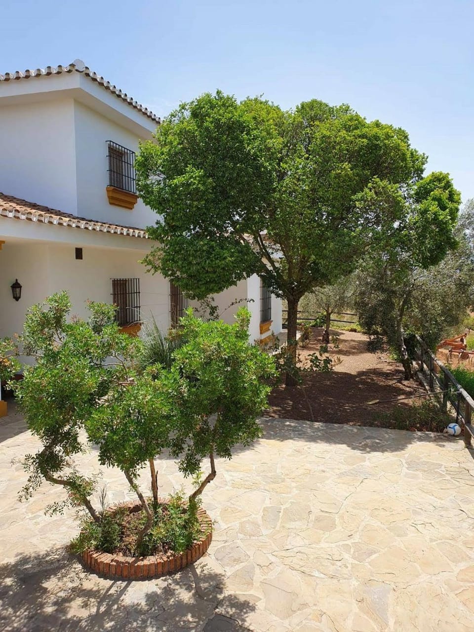 Facade/entrance, Garden