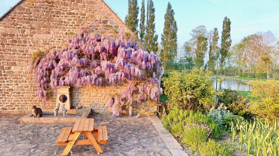Garden, Garden view