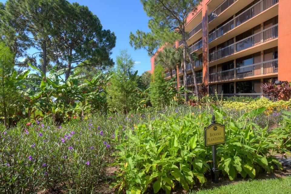 Property building, Garden, Garden