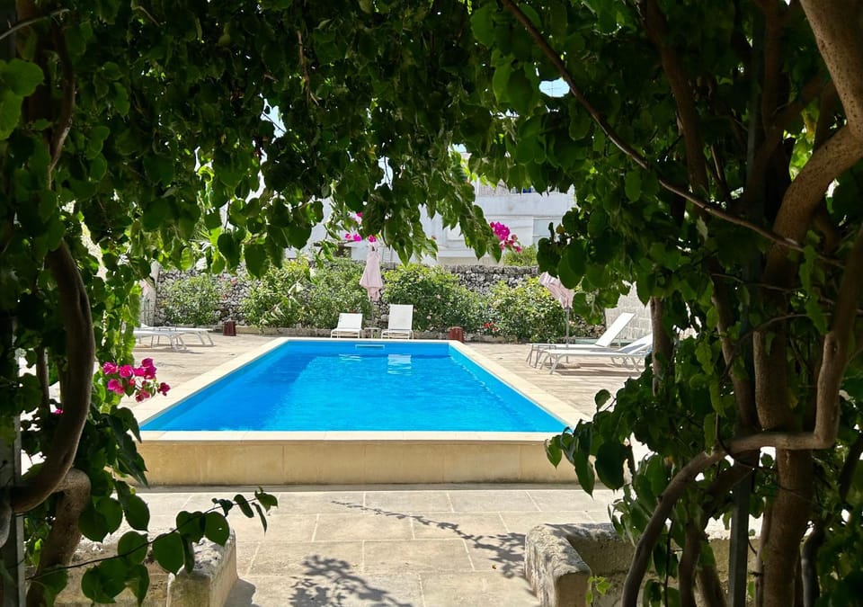 Day, Garden, Garden view, Pool view, Swimming pool, sunbed