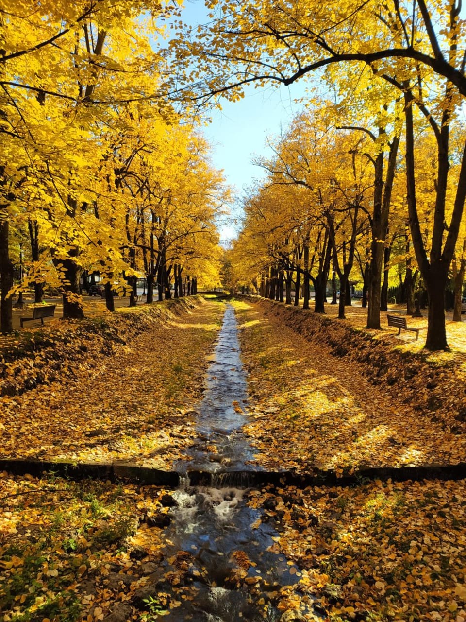 Amor Apartment in Serbia