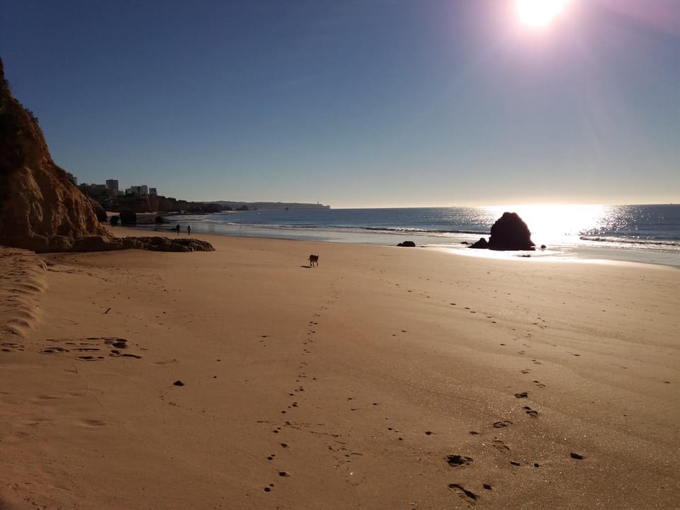 Natural landscape, Beach, Hiking