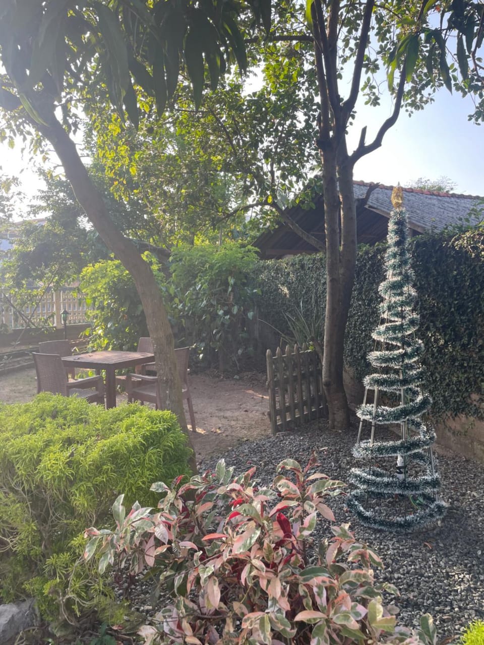 Day, Garden