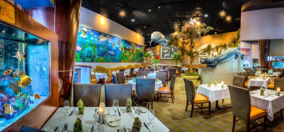 Restaurant/places to eat, Food and drinks, Seating area, Dining area, Food, Dinner, Drinks, Alcoholic drinks, Non alcoholic drinks