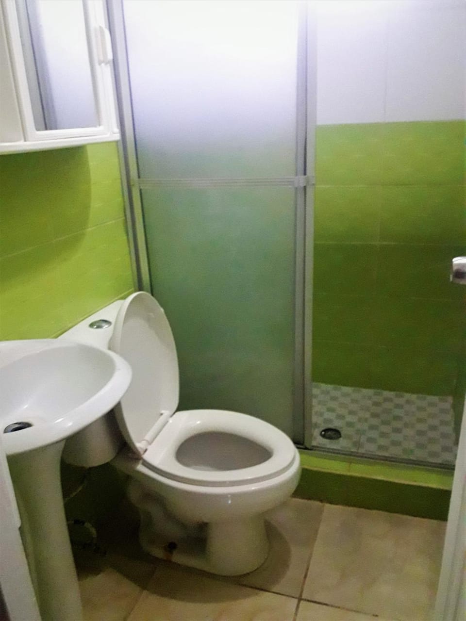 Shower, Toilet, Bathroom