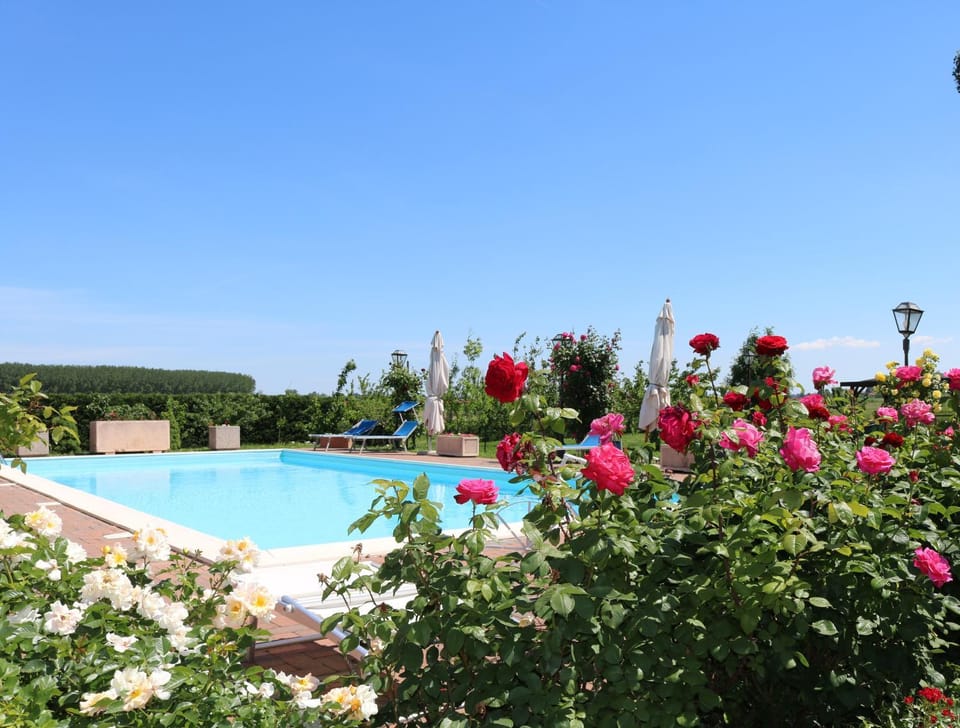 Pool view, Swimming pool, Swimming pool