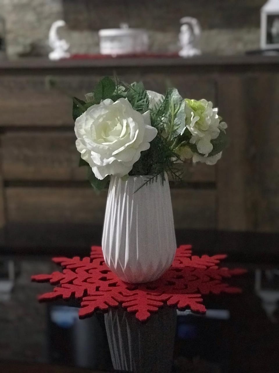 Apartman D&S Apartment in Zlatibor