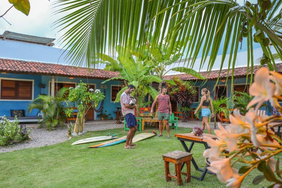 People, Garden, Garden view, group of guests