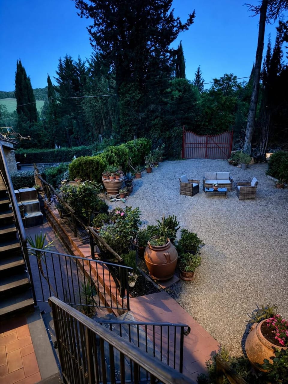 Garden view