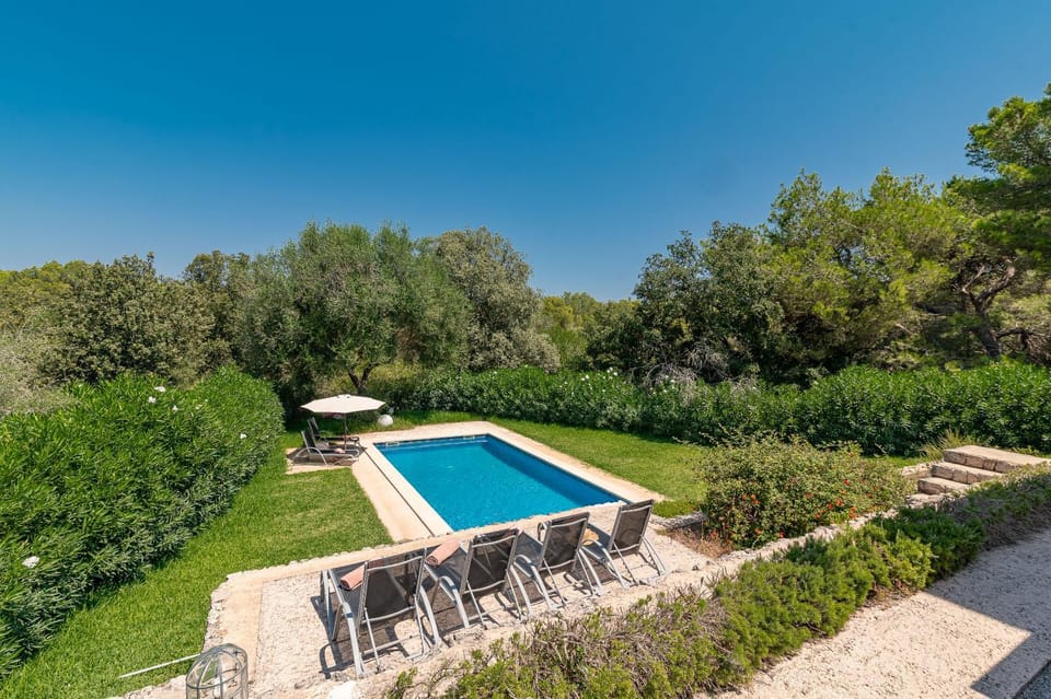 Day, Natural landscape, Garden, Garden view, Pool view, Swimming pool, sunbed