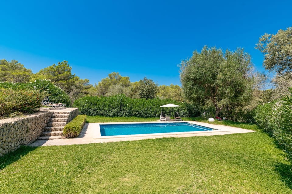 Day, Natural landscape, Garden, Garden view, Pool view, Swimming pool, sunbed