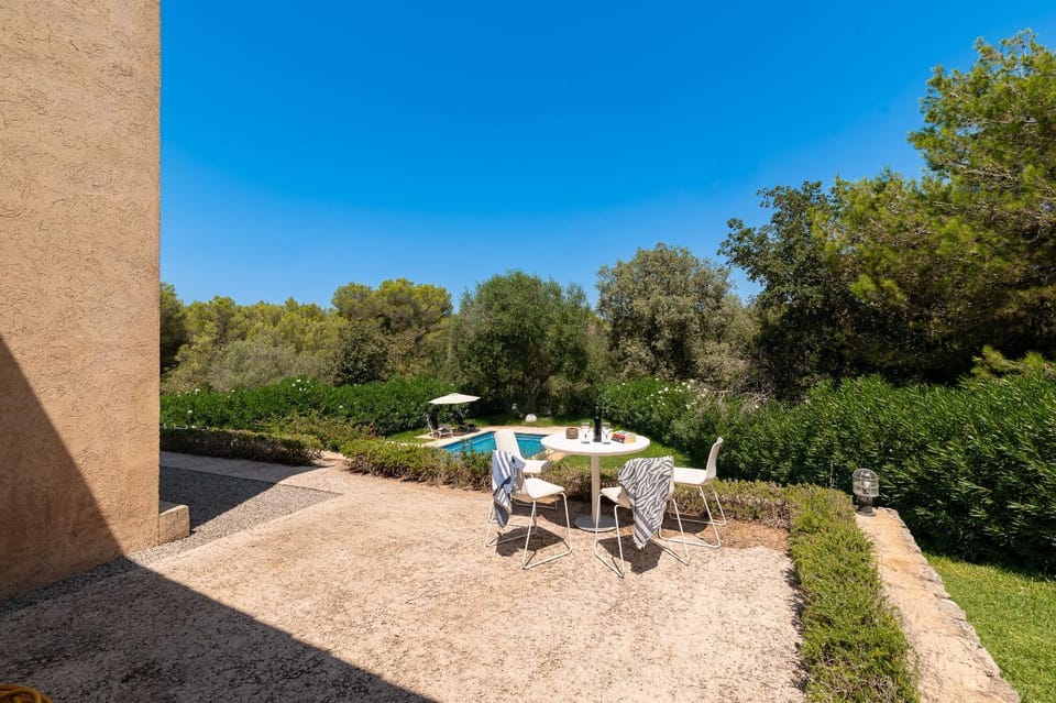 Patio, Day, Garden, Garden view