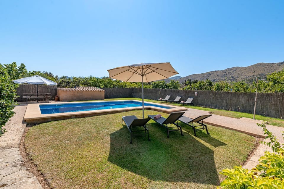 Garden, Swimming pool, sunbed