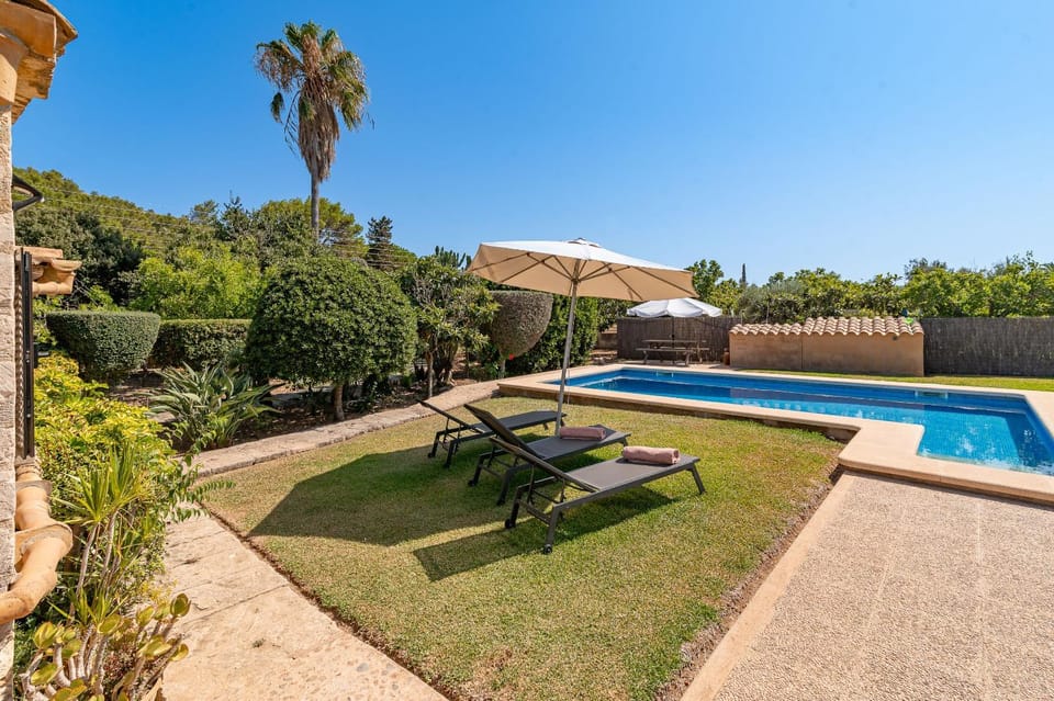 Garden, Swimming pool, sunbed