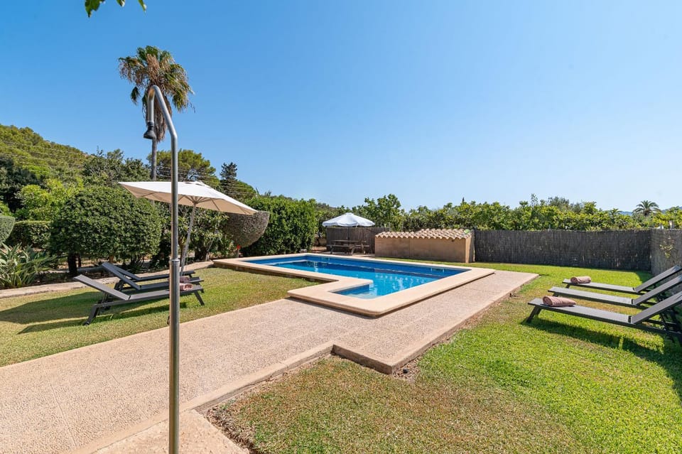 Garden, Swimming pool, sunbed