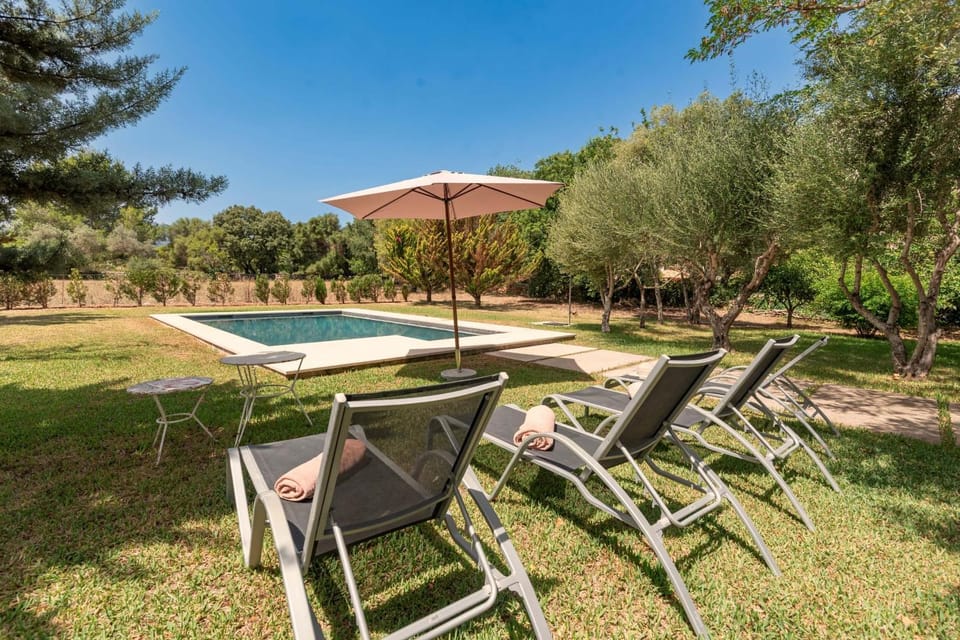 Natural landscape, Garden, Garden view, Pool view, Swimming pool, sunbed