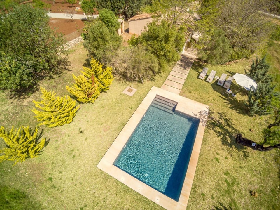 Garden, View (from property/room), Swimming pool, sunbed