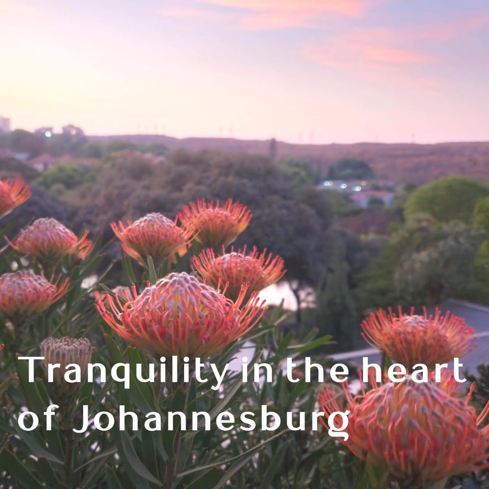 Hadeda Hall Bed and Breakfast in Johannesburg