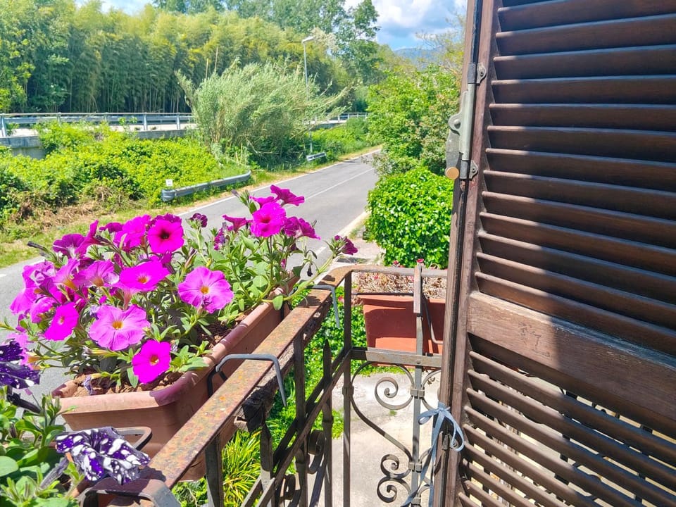 Balcony/Terrace, Inner courtyard view