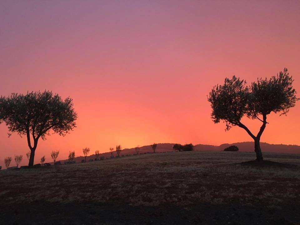Pianderna Agriwellness Farm Stay in Emilia-Romagna