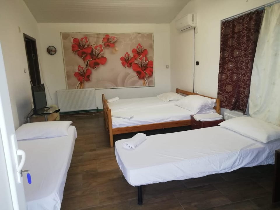 Pensiunea Mario Bed and Breakfast in Romania