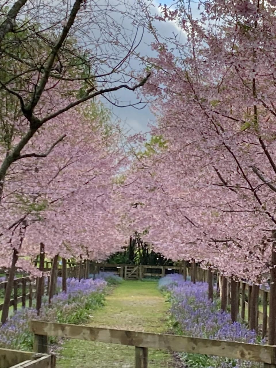 Spring