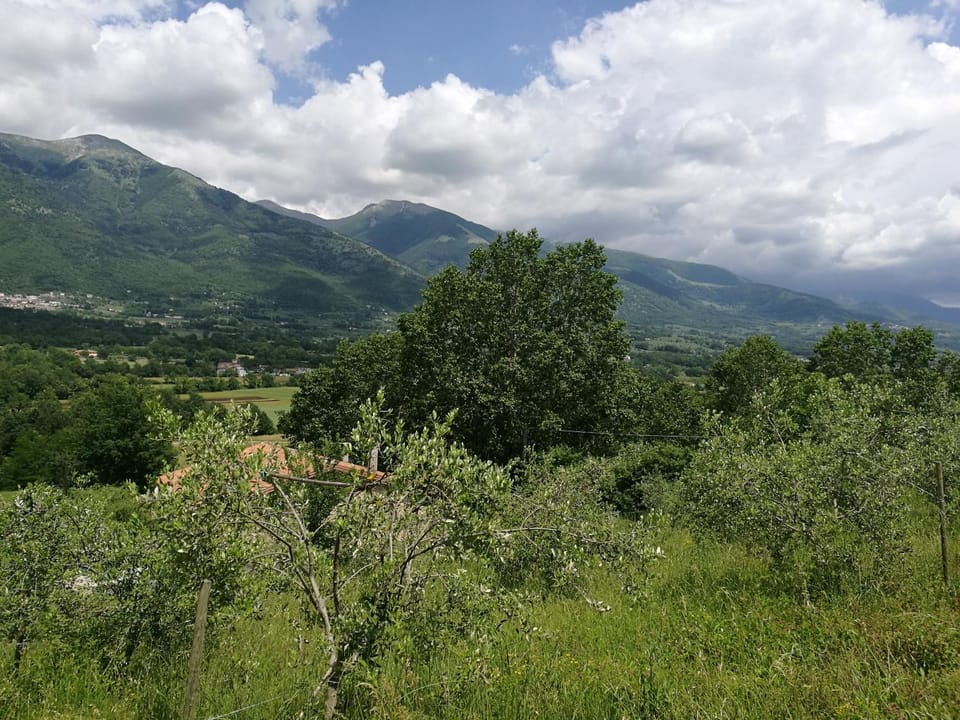Tenuta Castelli Farm Stay in Abruzzo