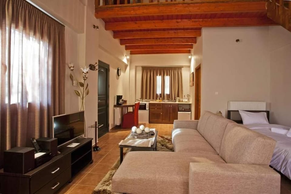 Bed, TV and multimedia, Kitchen or kitchenette, Living room, Seating area