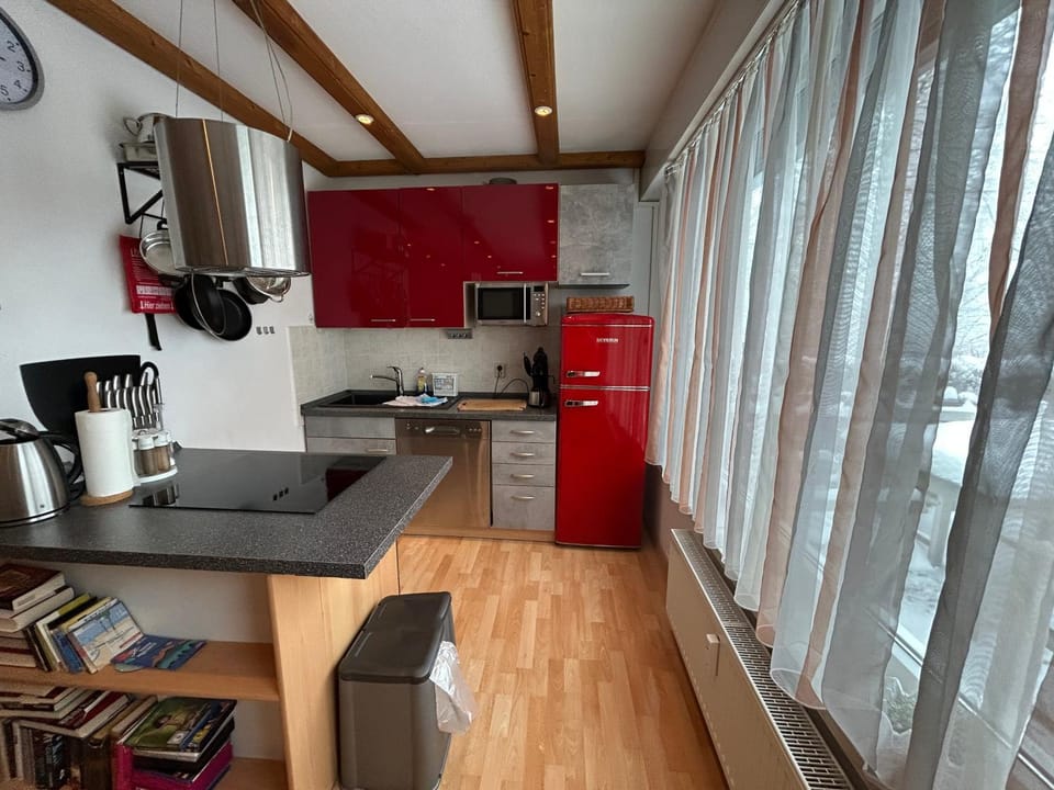 App 622 Panoramic Hohegeiß mit WLan Terrassenhaus Apartment in Braunlage