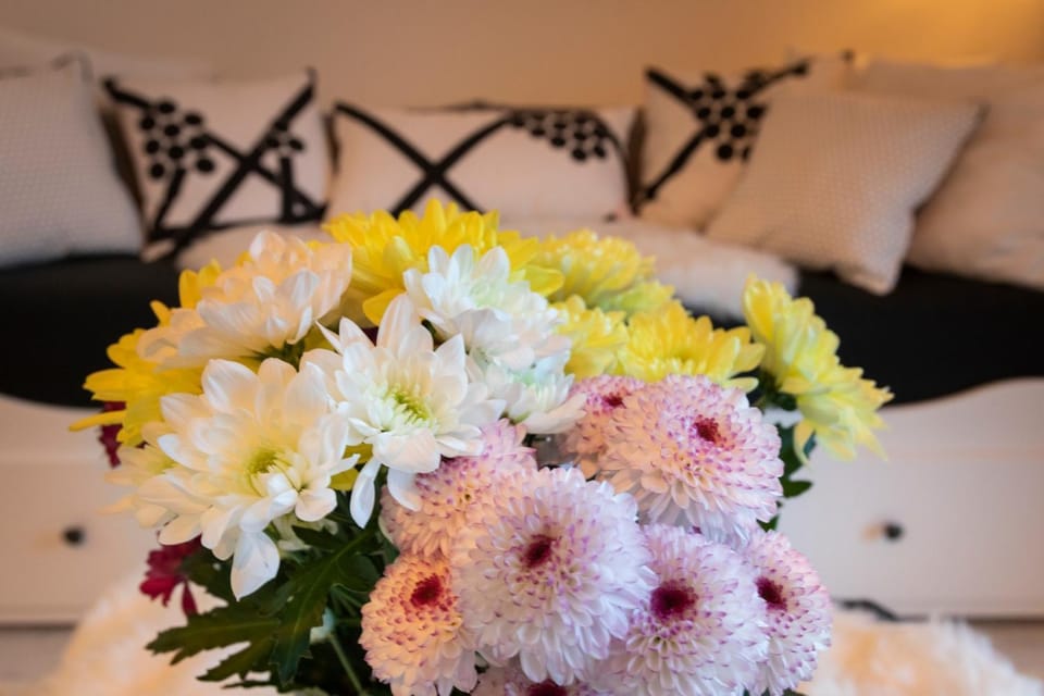 Vasko luxurious suites, Mustikka Apartment in Rovaniemi