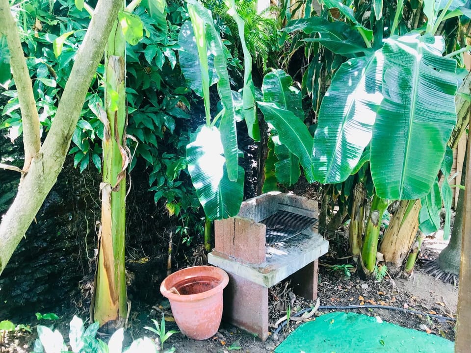 Villa Figues et Mangos House in Leeward Islands