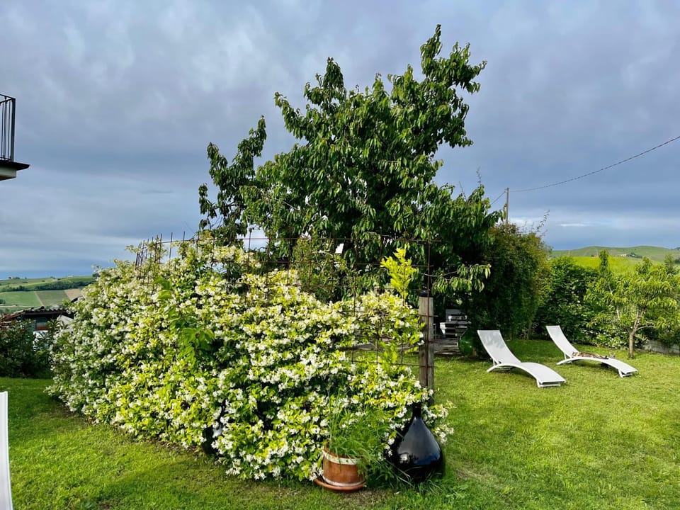 Garden, Garden view