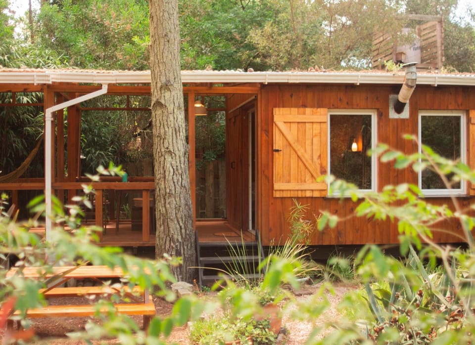 Casa Junco House in Mar de las Pampas
