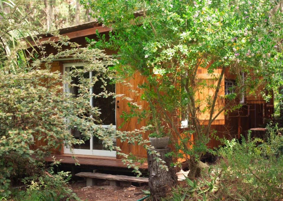 Casa Junco House in Mar de las Pampas