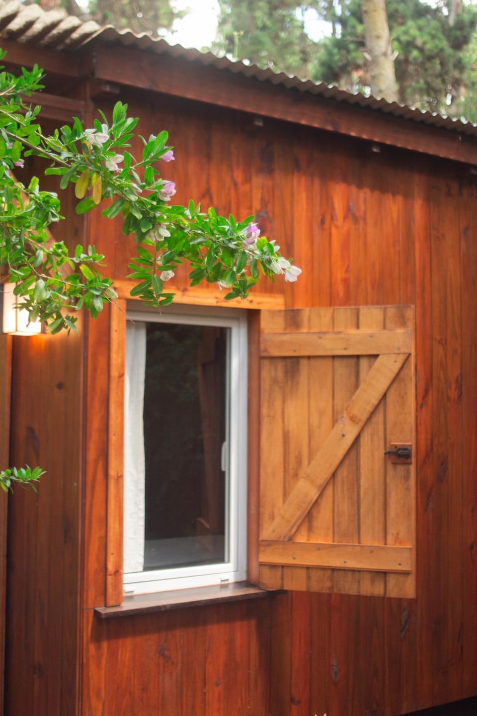 Casa Junco House in Mar de las Pampas
