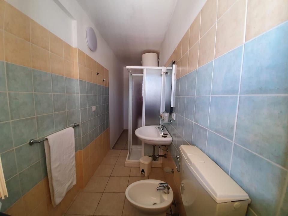 Shower, Toilet, bidet, towels